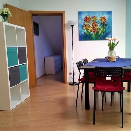 צוויקאו Gaestewohnung 4-Raum Wohnung Fuer 2-8 Personen מראה חיצוני תמונה