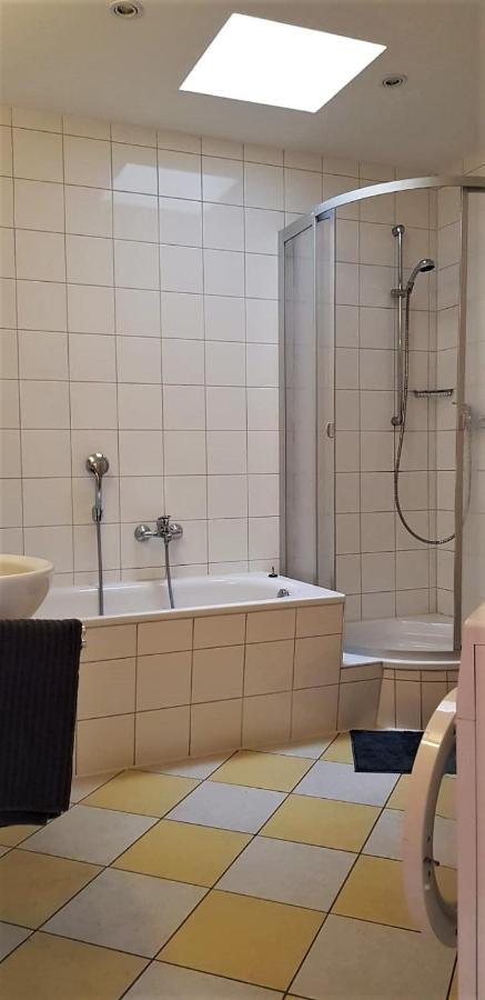 צוויקאו Gaestewohnung 4-Raum Wohnung Fuer 2-8 Personen מראה חיצוני תמונה