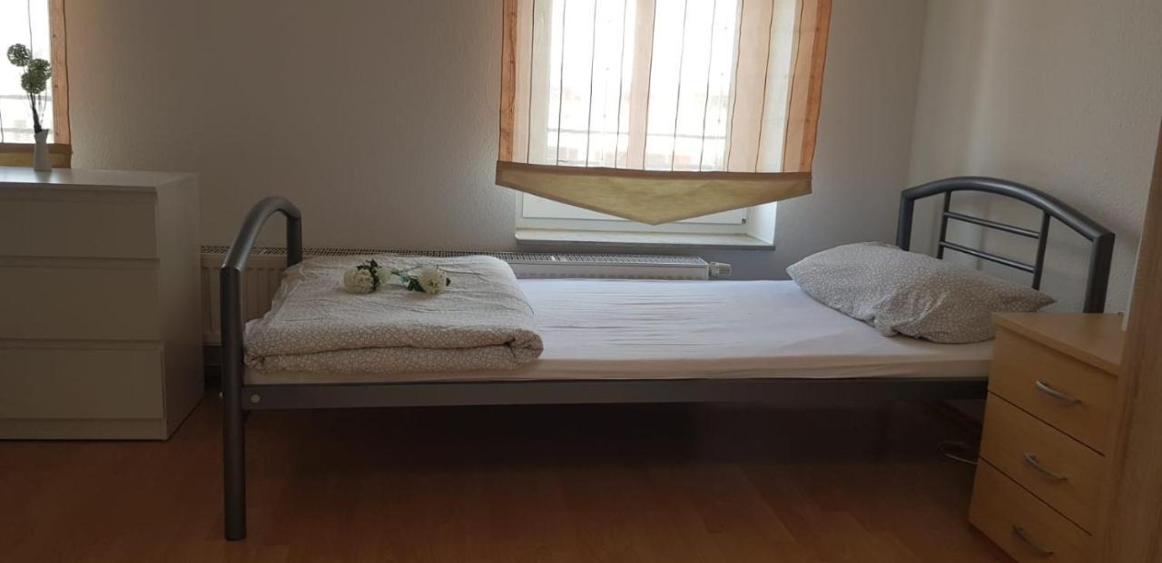 צוויקאו Gaestewohnung 4-Raum Wohnung Fuer 2-8 Personen מראה חיצוני תמונה